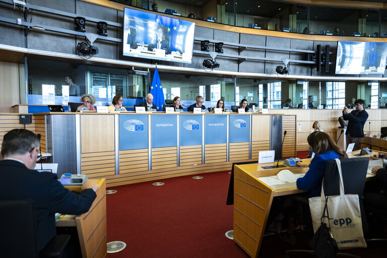 EMPL - Election of the 4th Vice Chair