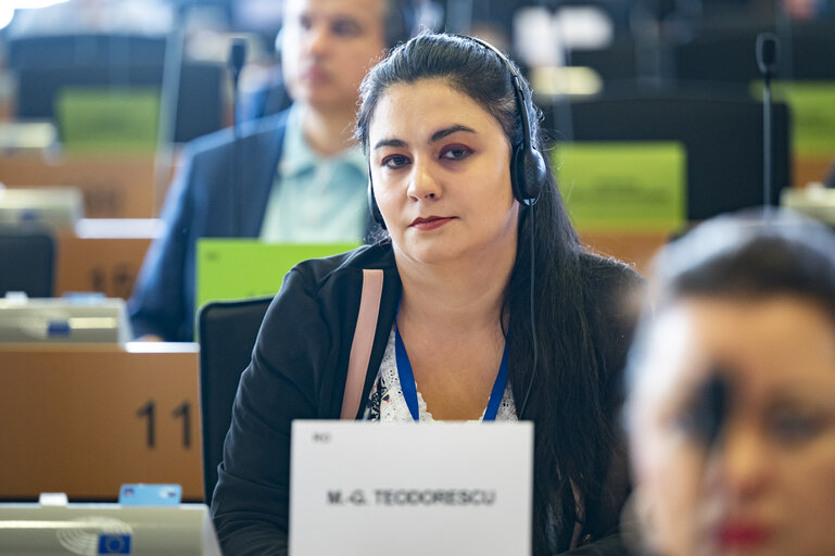 EMPL - Election of the 4th Vice Chair