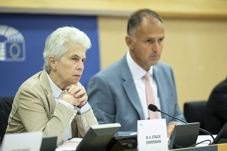 SEDE - Exchange of views with General André Denk, Chief Executive of the European Defence Agency following the Meeting of the Steering Board