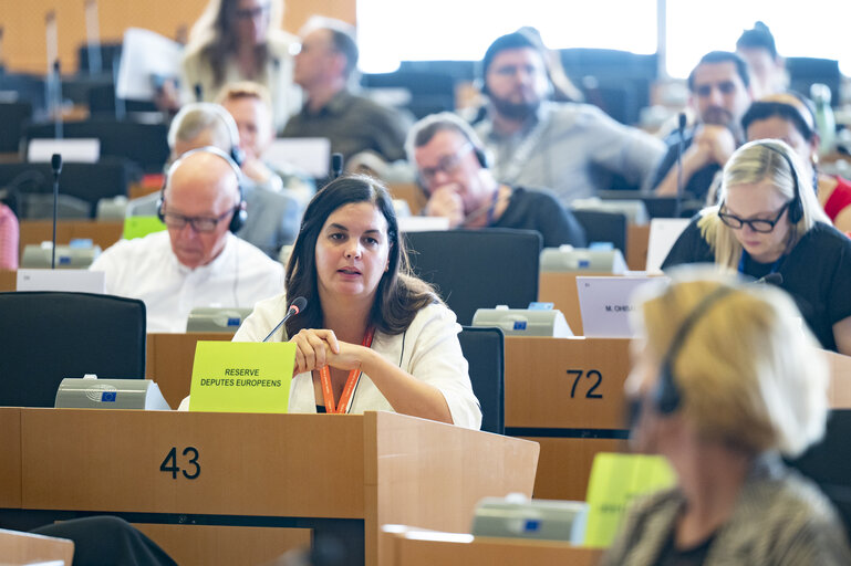 EMPL - Election of the 4th Vice Chair