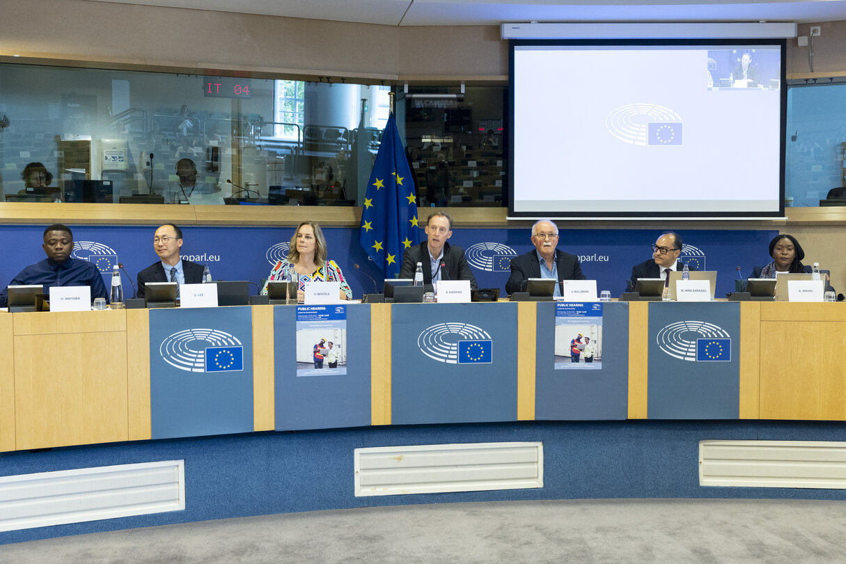 DEVE - Public Hearing on ' Decent and Sustainable Job Creation in Developing Countries:.Measuring the Impact of EU Projects '