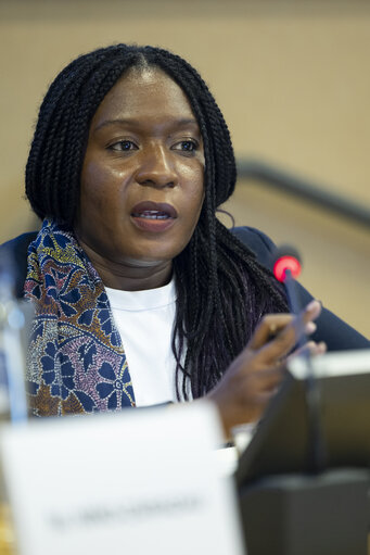 DEVE - Public Hearing on ' Decent and Sustainable Job Creation in Developing Countries:.Measuring the Impact of EU Projects '