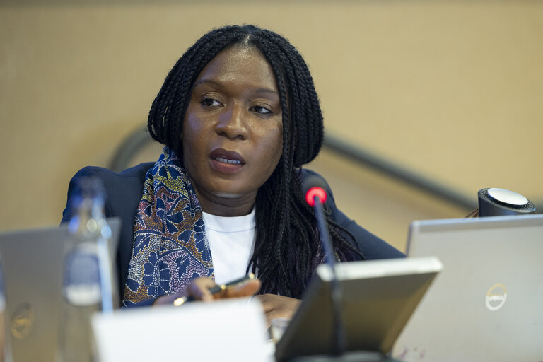 DEVE - Public Hearing on ' Decent and Sustainable Job Creation in Developing Countries:.Measuring the Impact of EU Projects '
