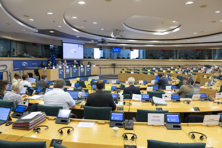 DEVE - Public Hearing on ' Decent and Sustainable Job Creation in Developing Countries:.Measuring the Impact of EU Projects '