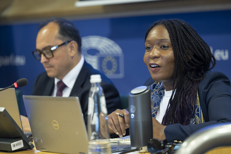DEVE - Public Hearing on ' Decent and Sustainable Job Creation in Developing Countries:.Measuring the Impact of EU Projects '
