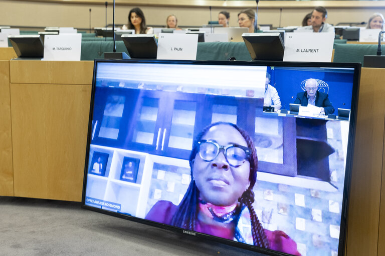 DEVE - Public Hearing on ' Decent and Sustainable Job Creation in Developing Countries:.Measuring the Impact of EU Projects '