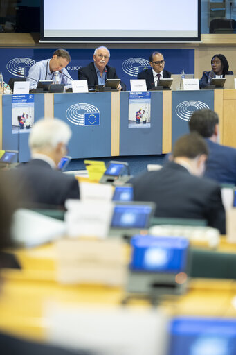 DEVE - Public Hearing on ' Decent and Sustainable Job Creation in Developing Countries:.Measuring the Impact of EU Projects '