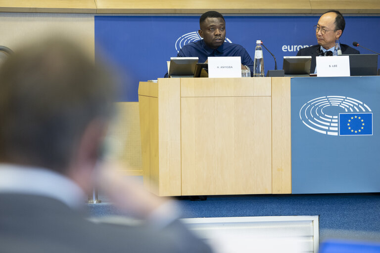 DEVE - Public Hearing on ' Decent and Sustainable Job Creation in Developing Countries:.Measuring the Impact of EU Projects '