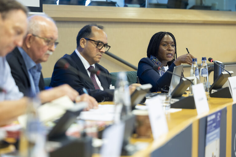 DEVE - Public Hearing on ' Decent and Sustainable Job Creation in Developing Countries:.Measuring the Impact of EU Projects '