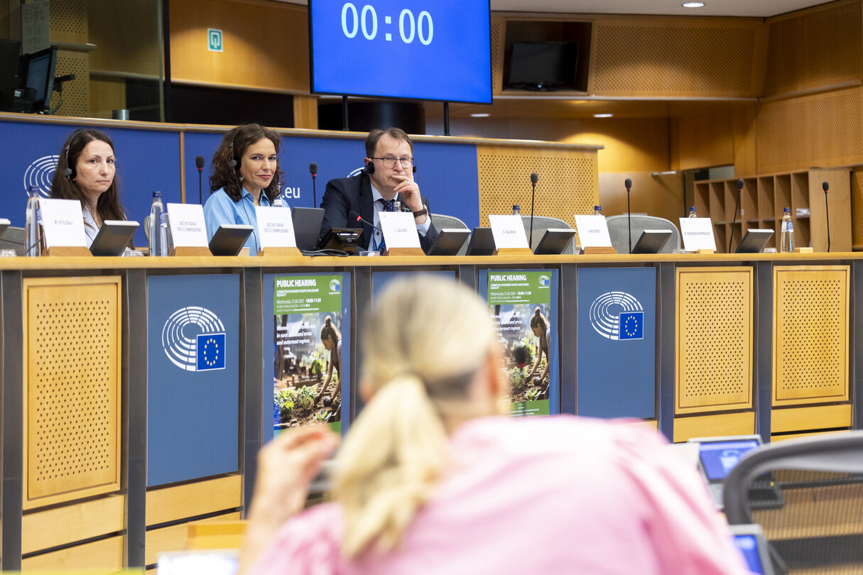 FEMM - Hearing: Women’s entrepreneurship in rural and island areas and outermost regions