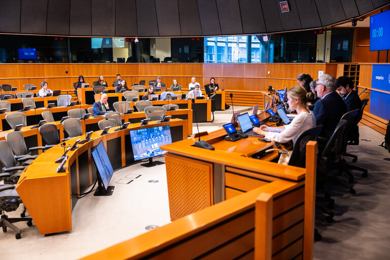 INTA workshop : EU’s trade and digital economy - Challenges and opportunities for SMEs