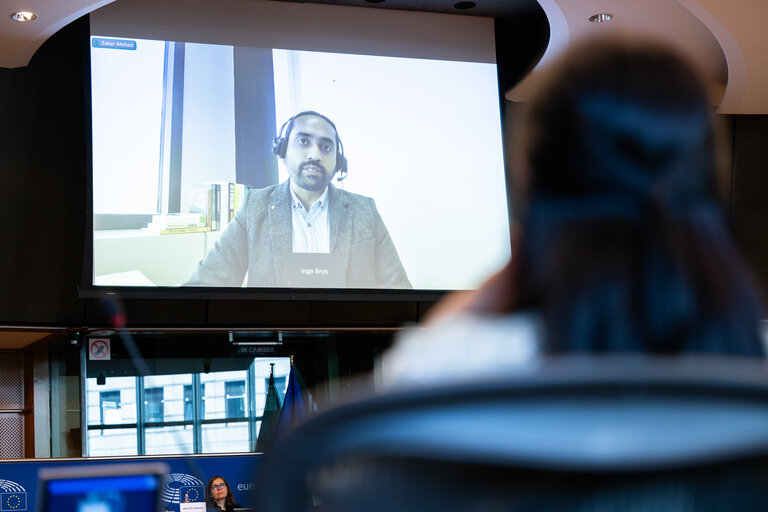 INTA workshop : EU’s trade and digital economy - Challenges and opportunities for SMEs