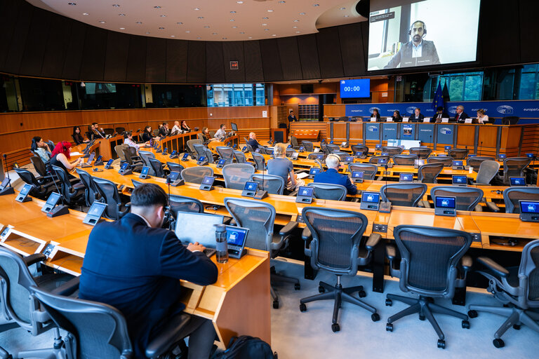 INTA workshop : EU’s trade and digital economy - Challenges and opportunities for SMEs