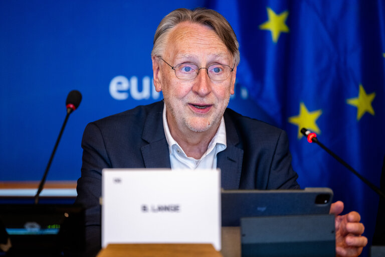 INTA workshop : EU’s trade and digital economy - Challenges and opportunities for SMEs