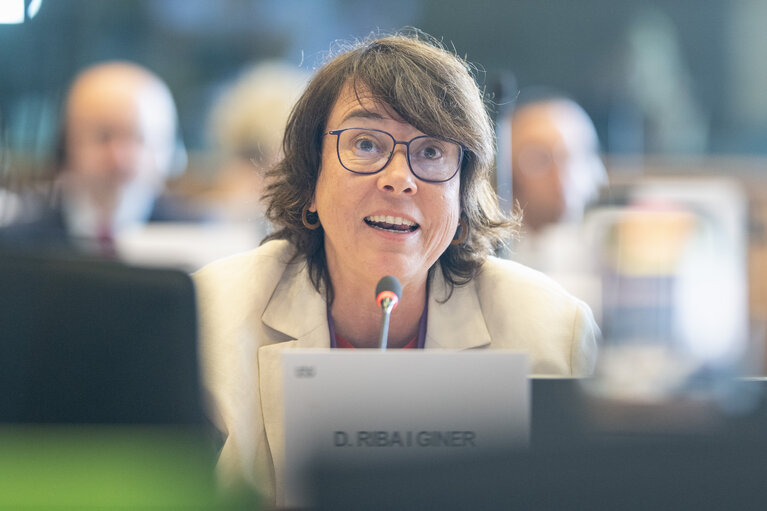 REGI - Public hearing on the European citizens’ initiative “Cohesion policy for the equality of the regions and sustainability of the regional cultures.
