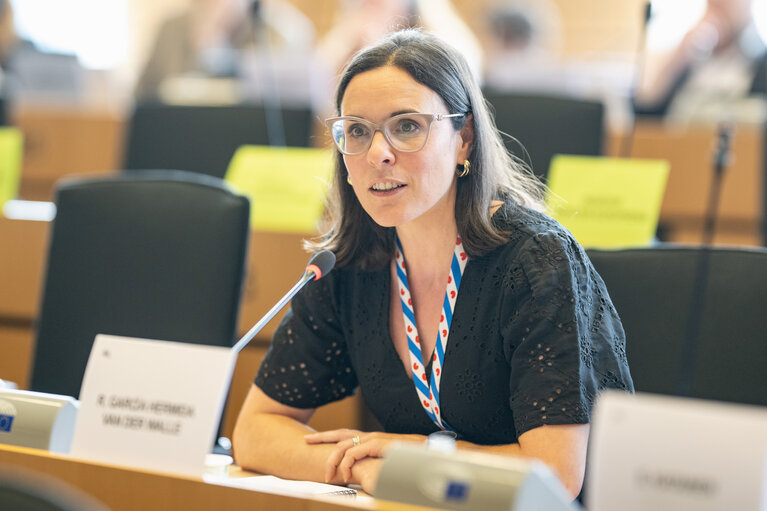REGI - Public hearing on the European citizens’ initiative “Cohesion policy for the equality of the regions and sustainability of the regional cultures.