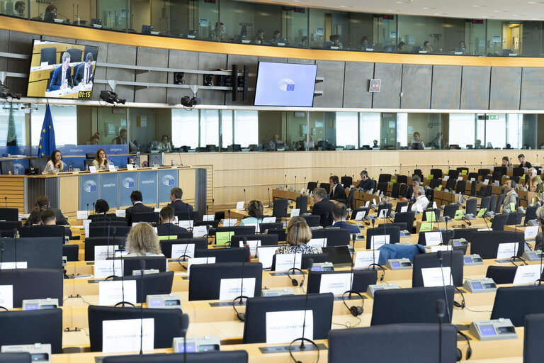 Photo 2: ITRE - Energy affordability, sovereignty, efficiency and transparency: way forward for the EU