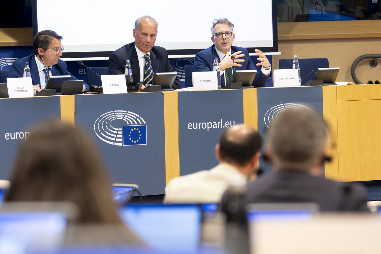 FISC - Workshop on the study on ' Tax barriers and cross-border workers: tackling the fragmentation of the EU tax framework '