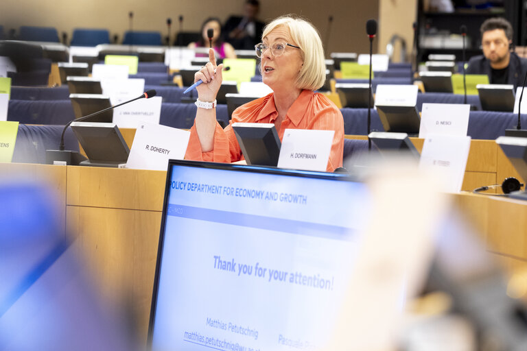 Fotografija 3: FISC - Workshop on the study on ' Tax barriers and cross-border workers: tackling the fragmentation of the EU tax framework '