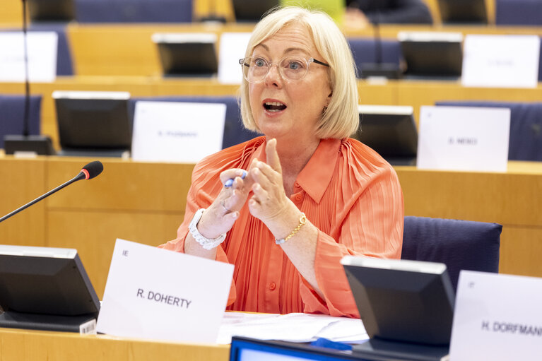 Fotografija 4: FISC - Workshop on the study on ' Tax barriers and cross-border workers: tackling the fragmentation of the EU tax framework '