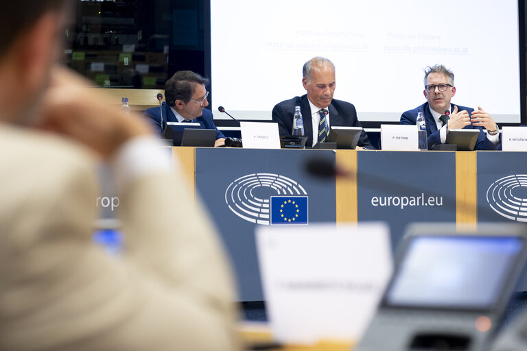 Fotografija 17: FISC - Workshop on the study on ' Tax barriers and cross-border workers: tackling the fragmentation of the EU tax framework '