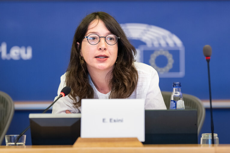 FEMM - Hearing: Image based sexual violence in the context of AI and social media specifically exploring the role of undressing apps and the responsibilities of platforms
