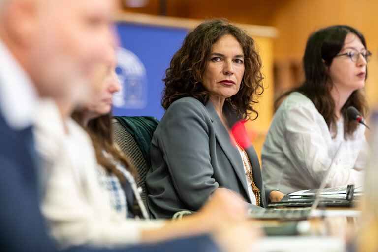 FEMM - Hearing: Image based sexual violence in the context of AI and social media specifically exploring the role of undressing apps and the responsibilities of platforms