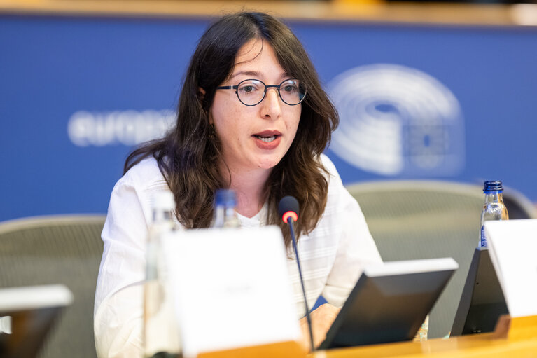 FEMM - Hearing: Image based sexual violence in the context of AI and social media specifically exploring the role of undressing apps and the responsibilities of platforms