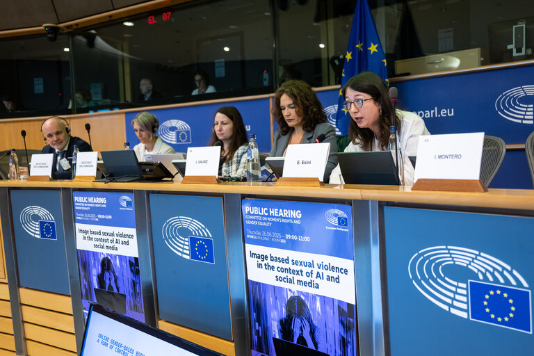 FEMM - Hearing: Image based sexual violence in the context of AI and social media specifically exploring the role of undressing apps and the responsibilities of platforms