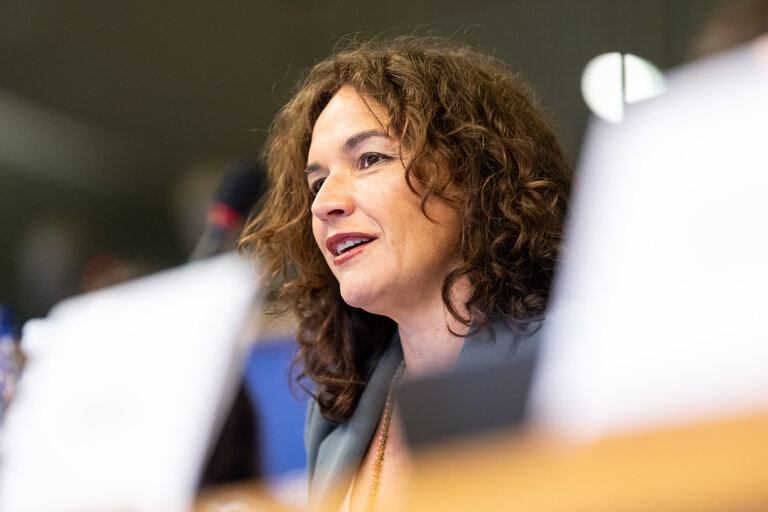 FEMM - Hearing: Image based sexual violence in the context of AI and social media specifically exploring the role of undressing apps and the responsibilities of platforms