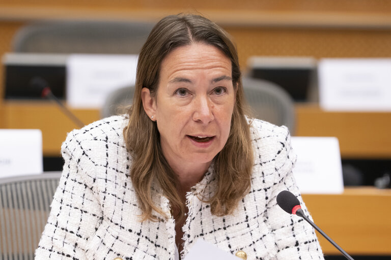 CONT - Public Hearing on Two Decades of progress: Evaluating the successes and lessons in implementing the EU budget from the Enlargements since 2004