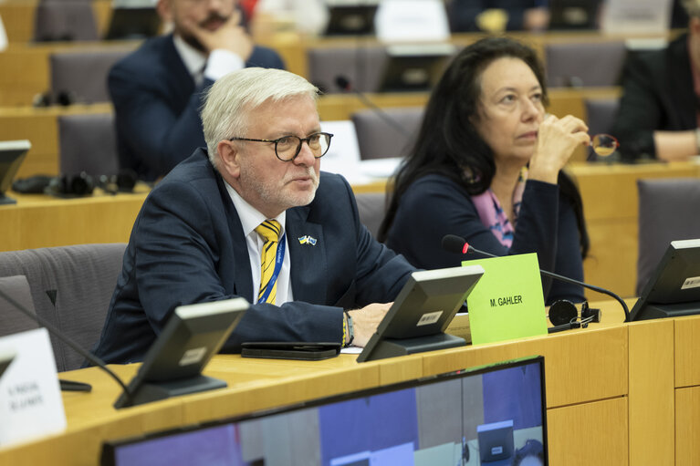 SEDE - Exchange of views with Anatolie Nosatîi, Minister of Defence, Republic of Moldova