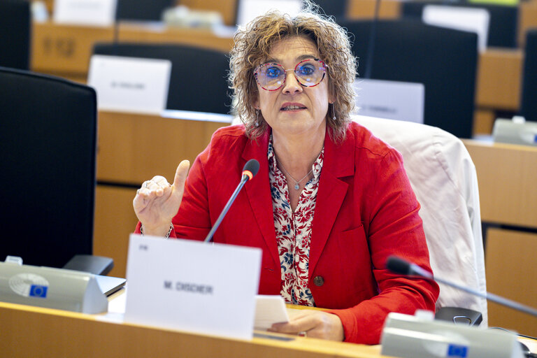 EMPL - Hearing on Working conditions in Amazon warehouses