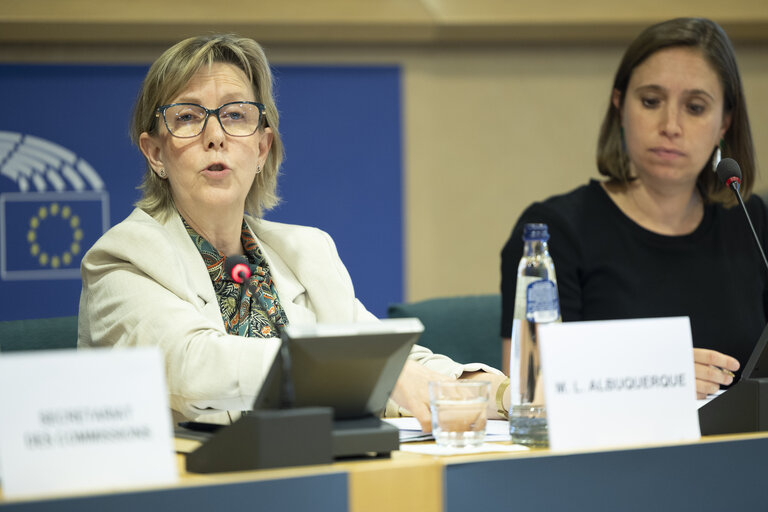Fotografie 25: ECON LIBE - Scrutiny of delegated acts and implementing measures - Exchange of views with Maria Luís Albuquerque, Commissioner for Financial Services and the Savings and Investments Union