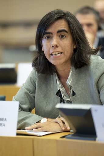 Fotografie 15: ECON LIBE - Scrutiny of delegated acts and implementing measures - Exchange of views with Maria Luís Albuquerque, Commissioner for Financial Services and the Savings and Investments Union