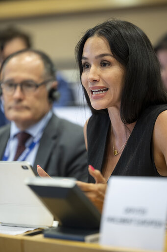 ECON LIBE - Scrutiny of delegated acts and implementing measures - Exchange of views with Maria Luís Albuquerque, Commissioner for Financial Services and the Savings and Investments Union