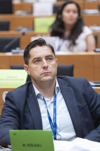 HOUS - Public hearing on Financialisation in the Housing Market: Effects and Policy responses