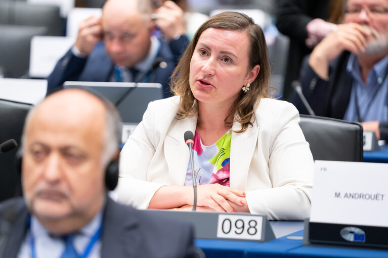Photo 28: ENVI - Exchange of views with Jessika Roswall, Commissioner for Environment, Water Resilience and a Competitive Circular Economy, and presentation of the Water Resilience Strategy