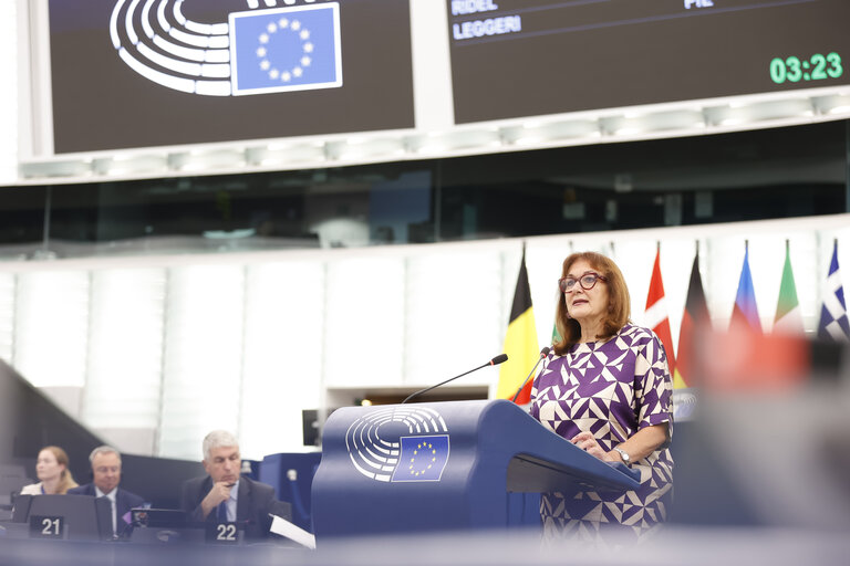 EP Plenary session - Arbitrary sentencing of Franco-Algerian writer Boualem Sansal and journalist Christophe Gleizes