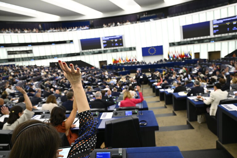 EP Plenary session - Voting session