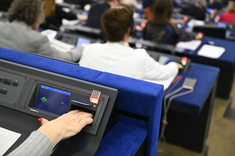 EP Plenary session - Voting session