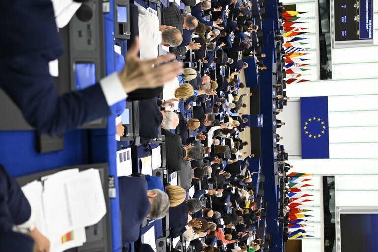EP Plenary session - Voting session