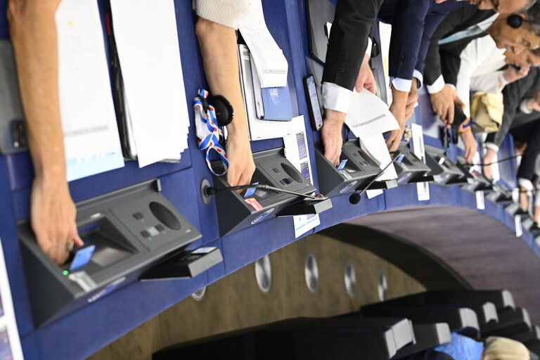 EP Plenary session - Voting session