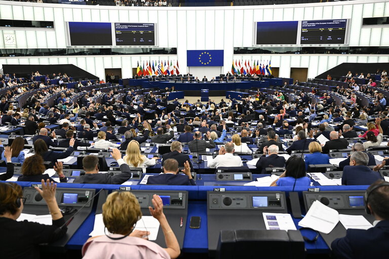 EP Plenary session - Voting session