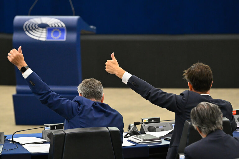 EP Plenary session - Voting session