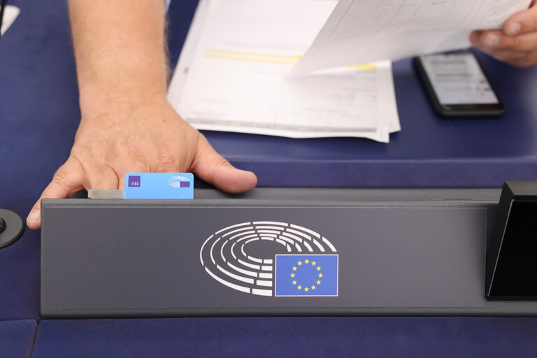 EP Plenary session - Voting session