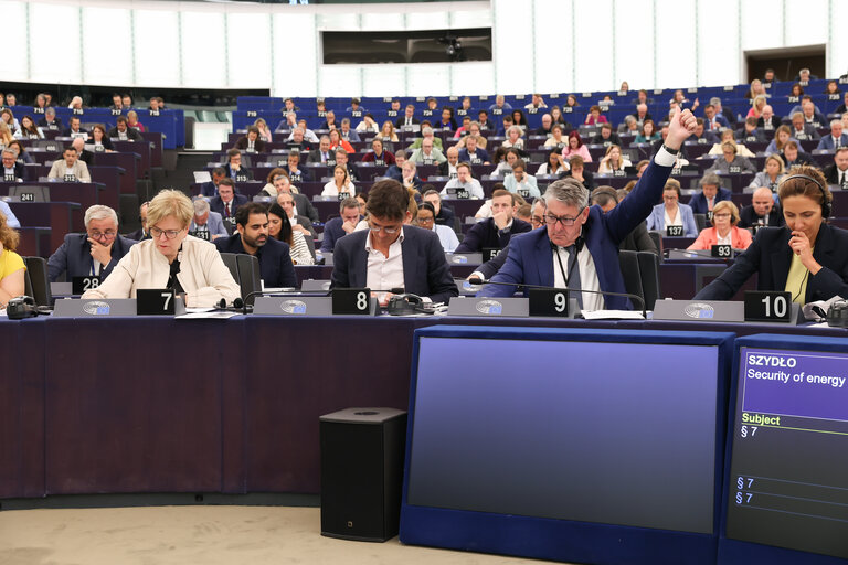 EP Plenary session - Voting session