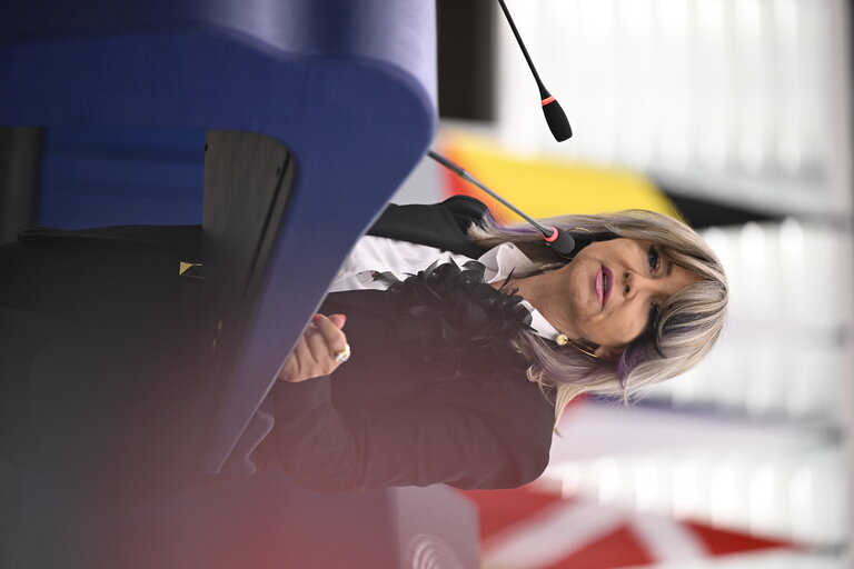 EP Plenary session - State of play of implementation of the European Media Freedom Act in Member States