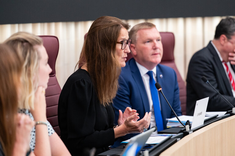 LIBE - Democracy, Rule of Law and Fundamental Rights Monitoring Group (DRFMG) meeting