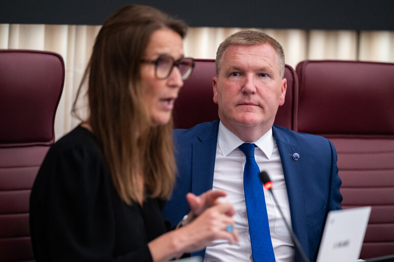 LIBE - Democracy, Rule of Law and Fundamental Rights Monitoring Group (DRFMG) meeting